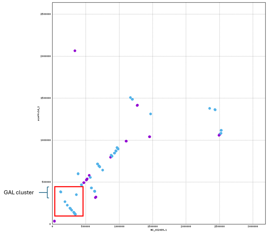 GAL Cluster Region Dotplot GAL cluster dotplot