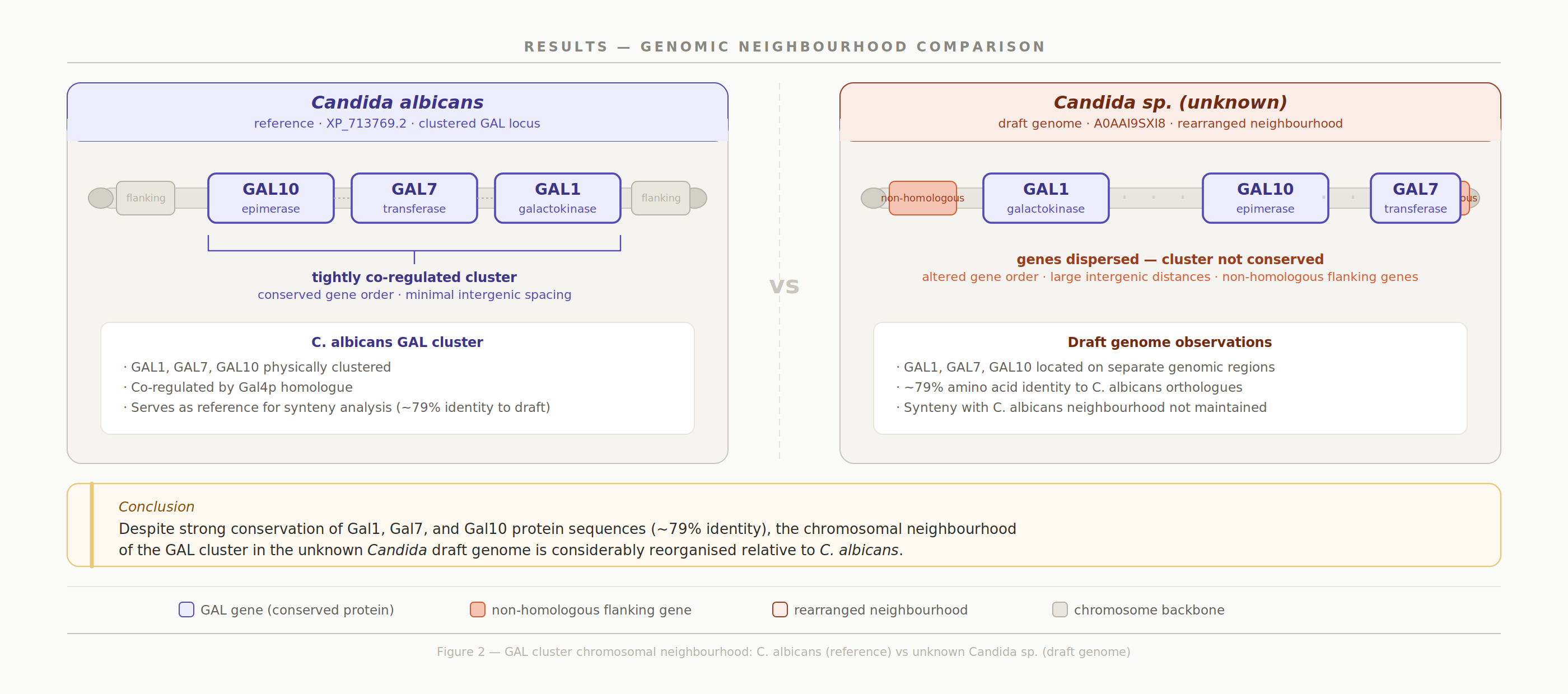 GAL cluster genomic comparison results GAL cluster Comparison